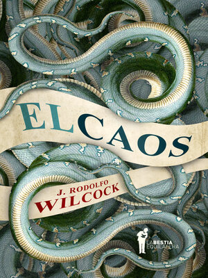 cover image of El caos